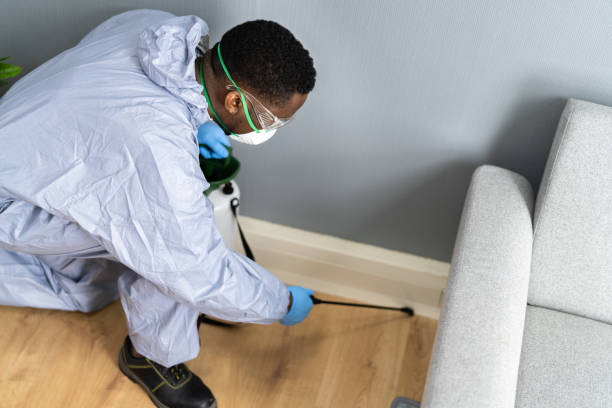 Best Pest Exclusion Services  in Chapman, KS